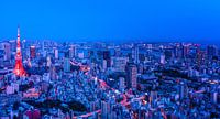 Tokyo in Red and Blue par Sander Peters Aperçu