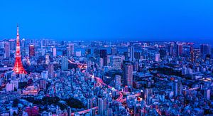 Tokyo in Red and Blue von Sander Peters