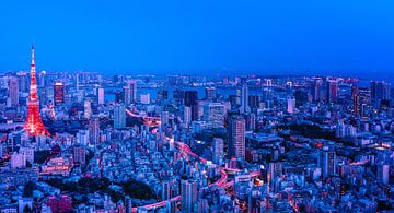 Tokyo in Red and Blue by Sander Peters