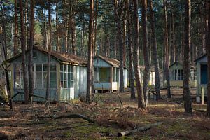 Maisons en bois dans une forêt près de Tchernobyl sur Tim Vlielander