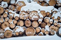 Holz im Schnee von Martin Wasilewski Miniaturansicht