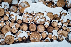 Holz im Schnee von Martin Wasilewski