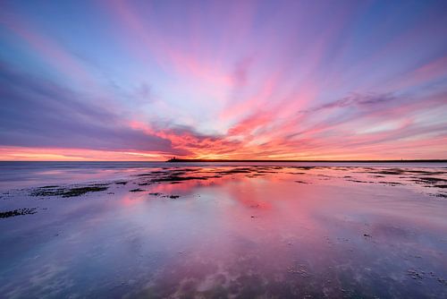 Wide angle sunset