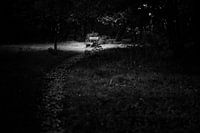 In the light