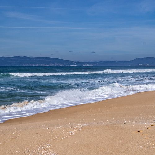 Comporta