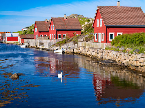 Red cottages with a swan near Eigerøy