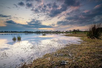 Naturschutzgebiet Marumerlage Groningen von Martijn van Dellen