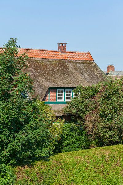 Haus, Elsfleth von Torsten Krüger