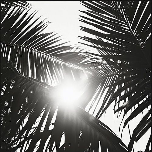 Zonnestralen door de palmbomen