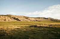 Sunset on the horse ranch in Canada
