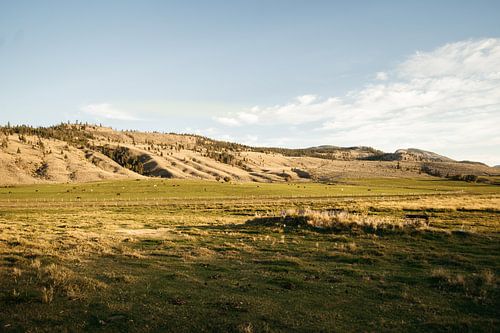 Sunset on the horse ranch in Canada
