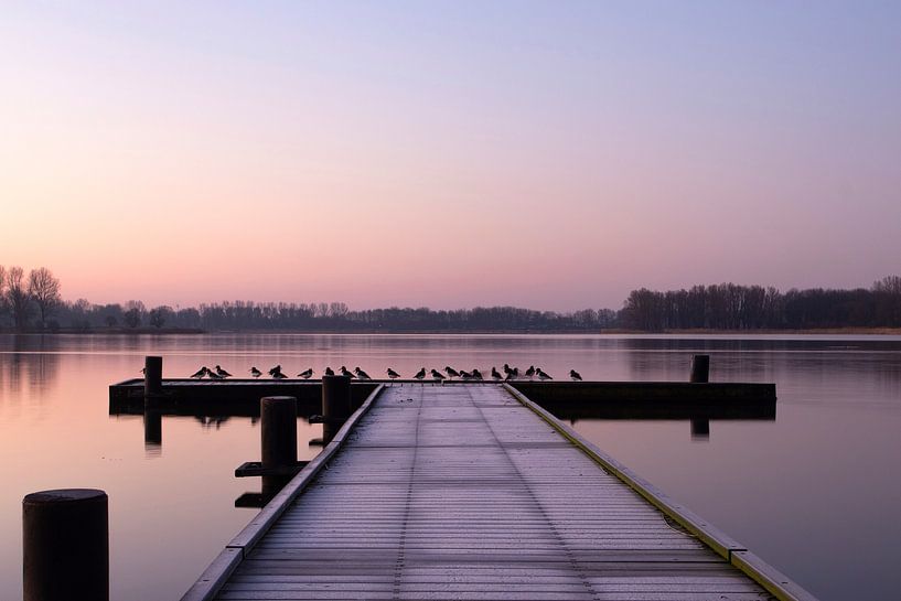 Zonsopkomst  in Nederland van Mireille Breen