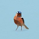 Vink (Vogel, Polygoon) van Color Square thumbnail