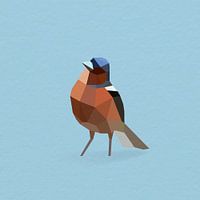 Finch (Bird, Polygon)