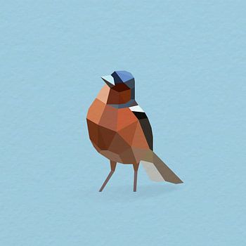Finch (Bird, Polygon)