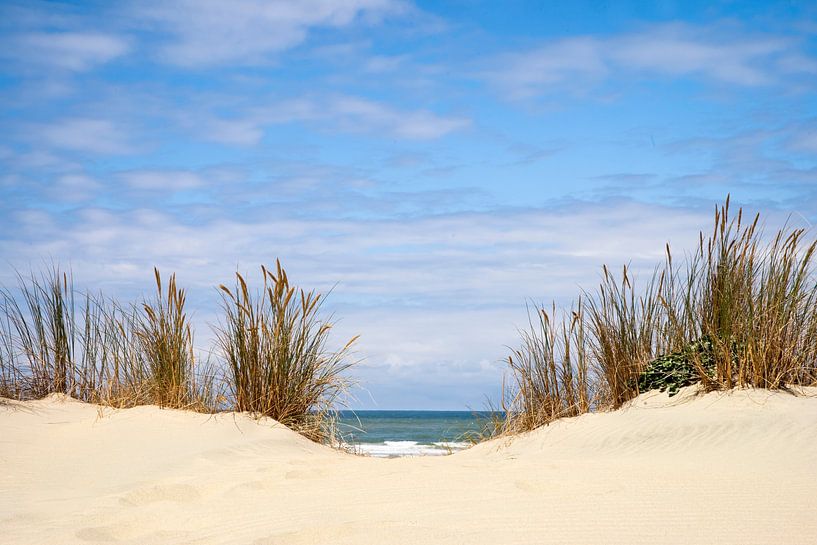 To the beach (Vers la plage) par Ton van Buuren