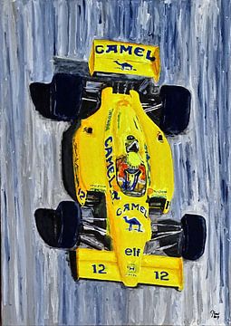 Ayrton Senna - De Lotus Jaren van DeVerviers