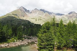 Die Engadiner Berge zeigen eine harmonische Mischung aus alpiner Weite, kristallklaren Seen und sanften Lärchenwäldern. Die Landschaft wirkt lichtdurchflutet, ruhig und zugleich majestätisch – ein Naturparadies im Herzen der Schweiz.