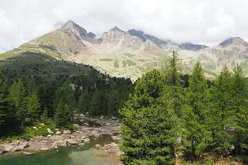 The Engadin mountains offer a harmonious blend of alpine expanses, crystal-clear lakes and gentle larch forests. The landscape is flooded with light, peaceful and majestic at the same time - a natural paradise in the heart of Switzerland. by Miriam Schwarzfischer Fotografie