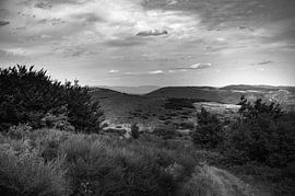 Horizon van Elwin Flik