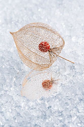 Stilleven: Lampionnetje weerspiegelt in een winters landschap