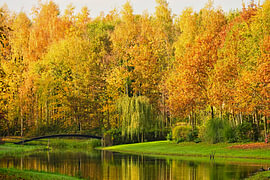 Herfst aan het Water van Vague & Form