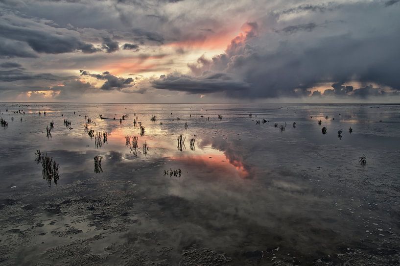 Wolkenweelde von Remco de Vries