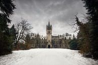 Urbex - Chateau de noisy van Angelique Brunas thumbnail