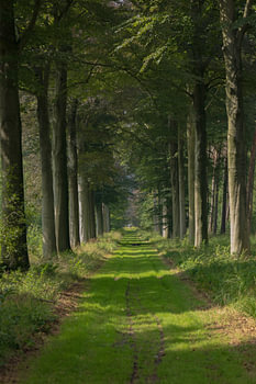Le sentier des contes de fées