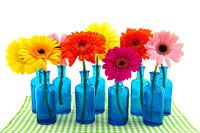 Row blue glass vases with colorful flowers isolated over white
