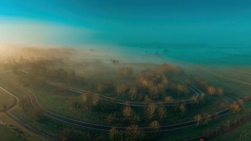 Cycle course sur Nildo Scoop