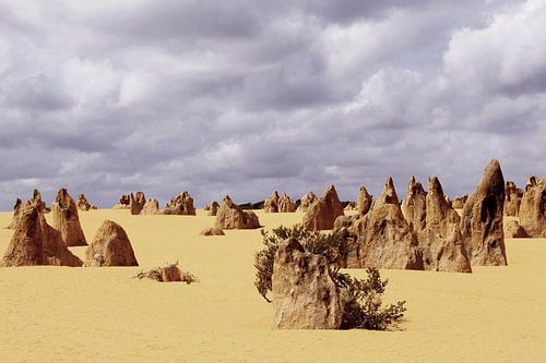 Felsformationen Pinnacles