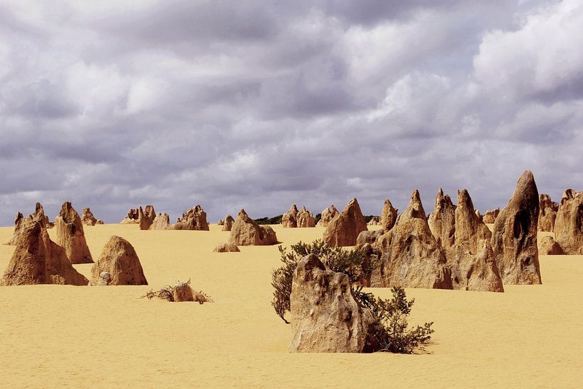 Formations rocheuses Pinnacles par Inge Hogenbijl