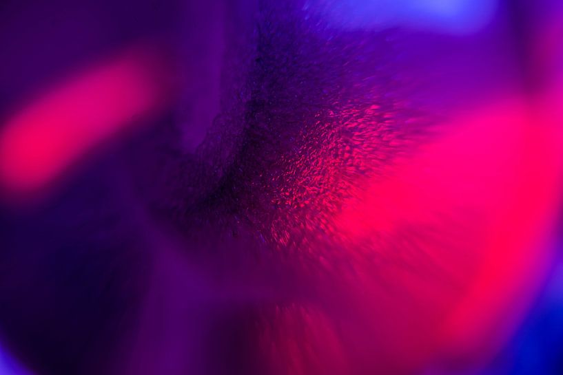 Red foam magnification by Mark Damhuis