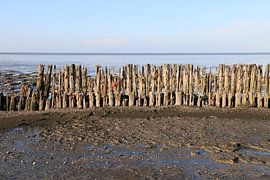 Moddergat, Waddenzee von Taco Ruiten