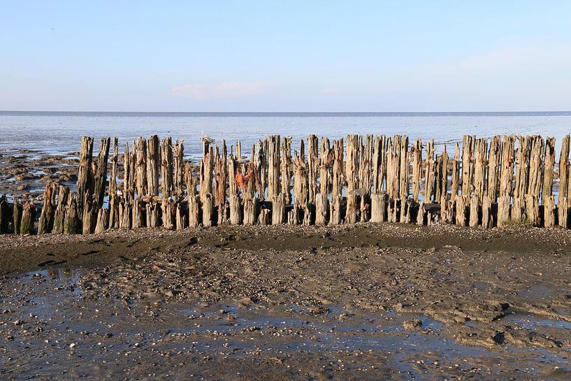 Moddergat, Waddenzee by Taco Ruiten