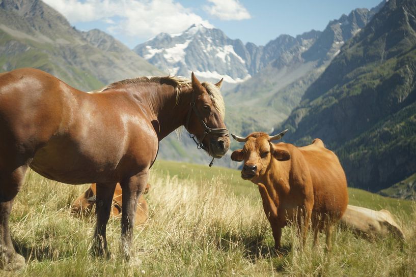 Dear friends! by Floris Verweij