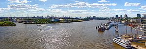 Panorama der Elbe in Hamburg