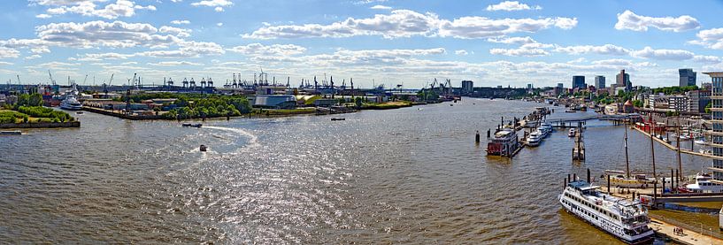 River Elbe at Hamburg #2 van Leopold Brix