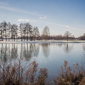 Paalse Plas Frozen by Kristof Mentens