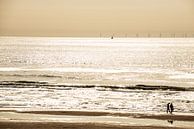 Noordzee Kust bij Tegenlicht van Brian Morgan thumbnail