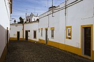Maisons peintes en jaune à Evora par Michiel Dros Aperçu
