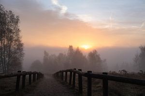 Quintelooijen Teil 36