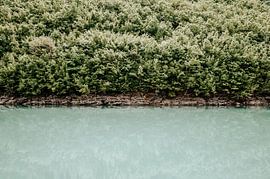 Ein ruhiges Naturporträt in Europa von Milene van Arendonk