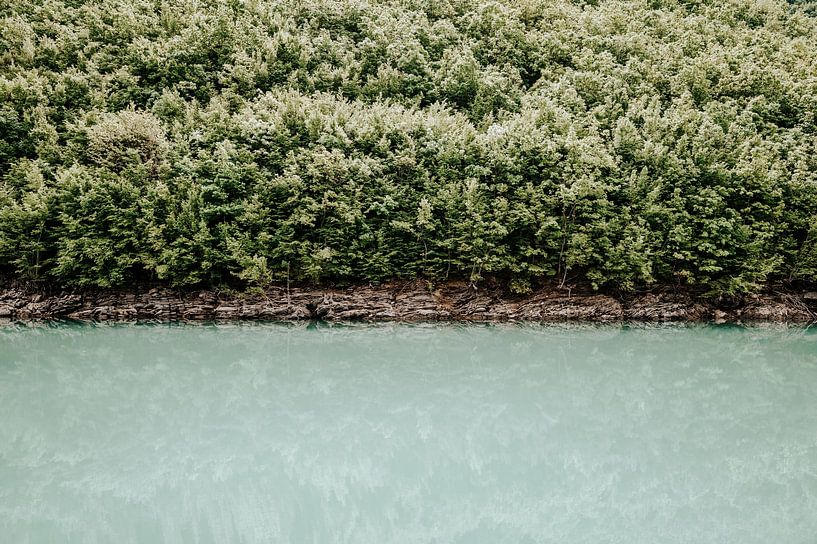 A quiet natural portrait in Europe by Milene van Arendonk