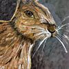 The Brown Rabbit by Jolanda Janzen-Dekker