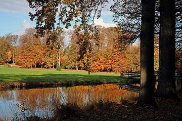 Réflexion sur les couleurs d'automne