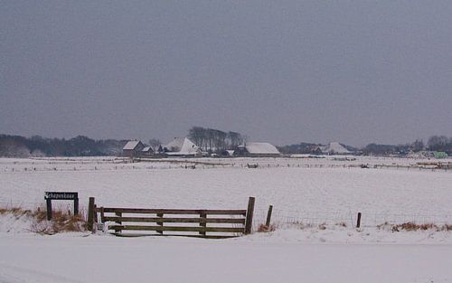 Texel in de sneeuw