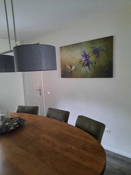 Photo de nos clients: Colibri à fleur violette et fond vert peint sur Diana van Tankeren