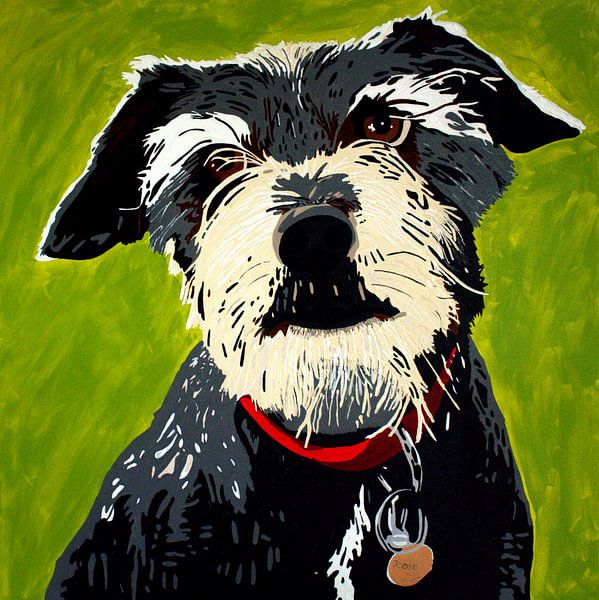 Joost by Irene Jonker
